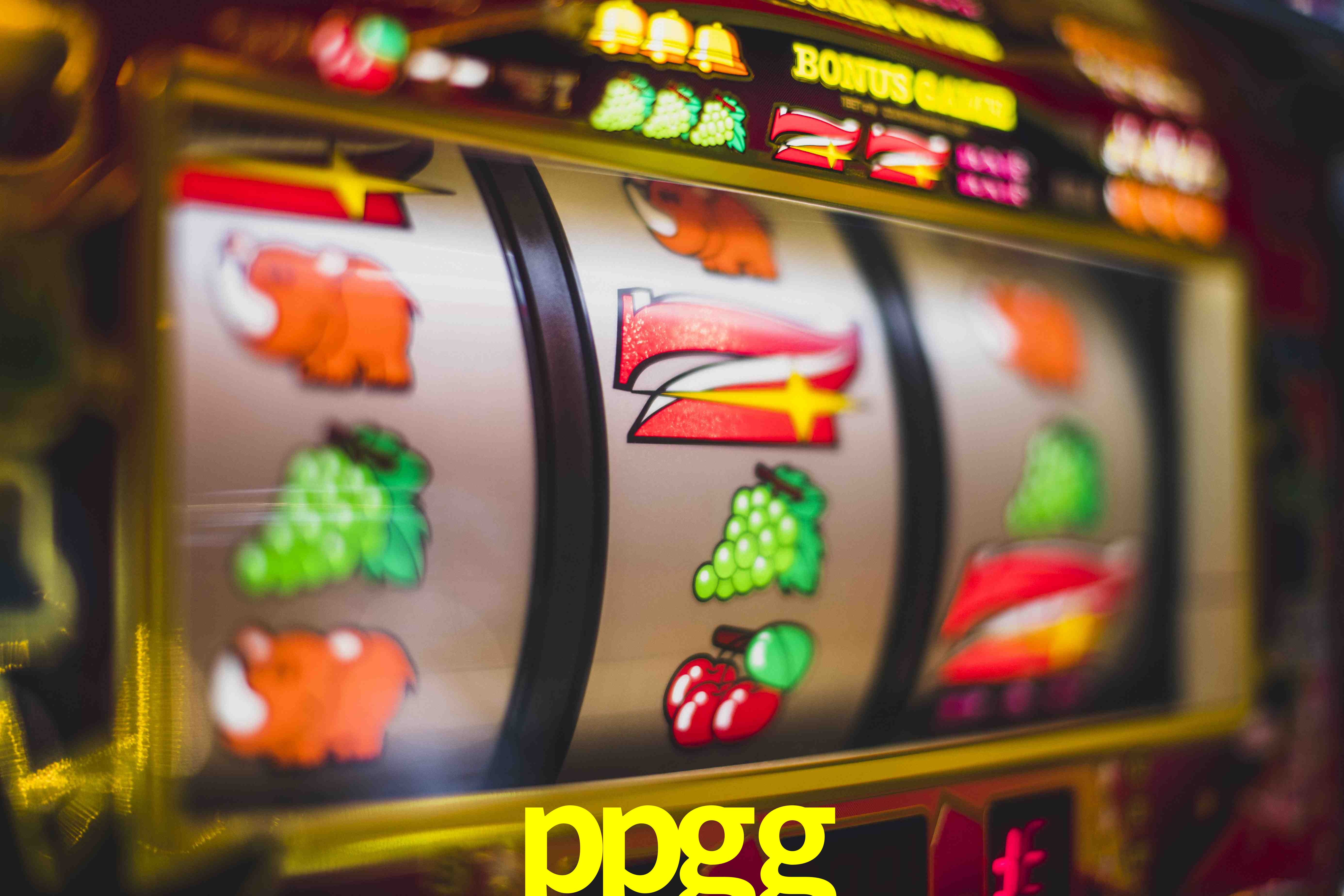 VIP Casino ppgg